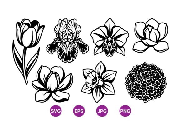 Black Line Art Flower Clipart: Graphics for Botanical Illustrations