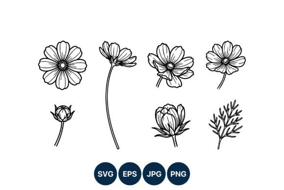 Cosmos Flower Line Art Vector Set
